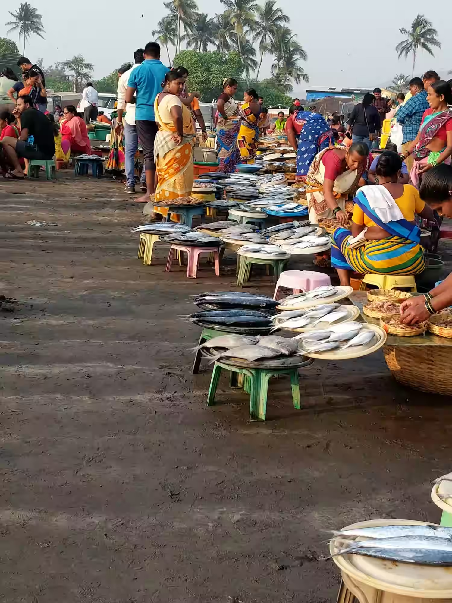 Harnai Fish Market